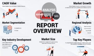 Investing in Emerging Markets 2024